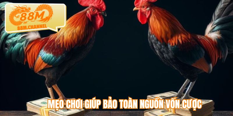 Mẹo chơi giúp bảo toàn nguồn vốn cược