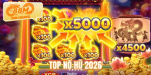 top-no-hu-2026