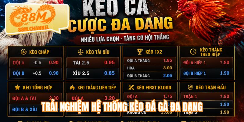 Trải nghiệm hệ thống kèo đá gà đa dạng